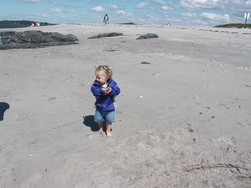 Picture 6227