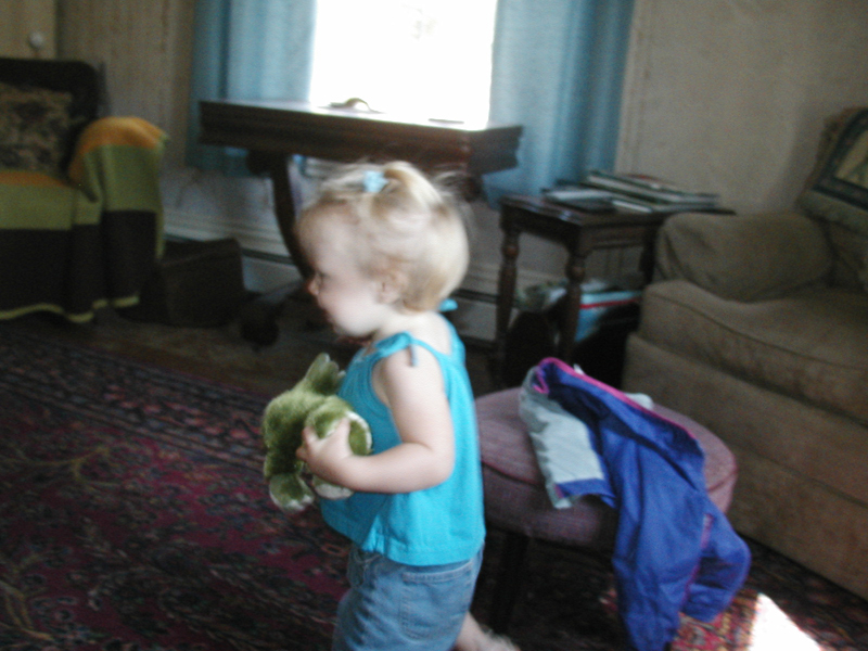 Picture 6251