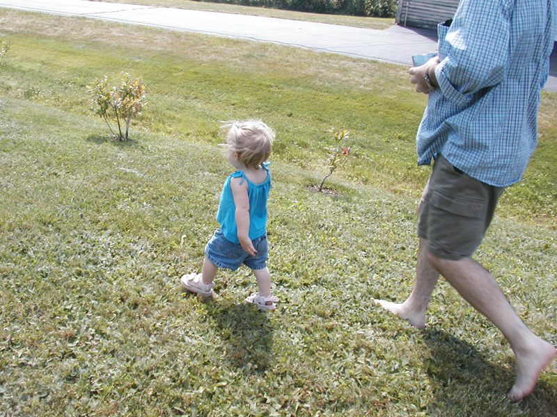 Picture 6256