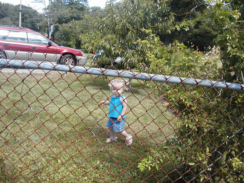 Picture 6257