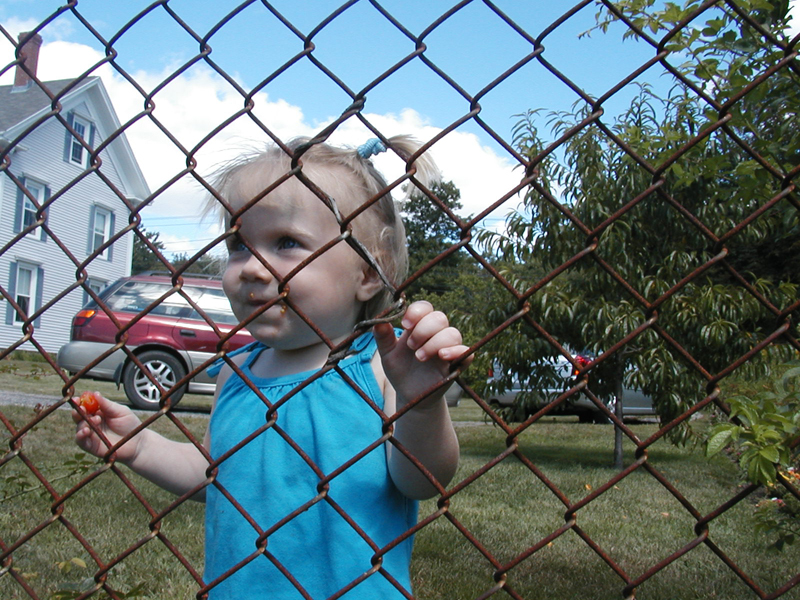 Picture 6258