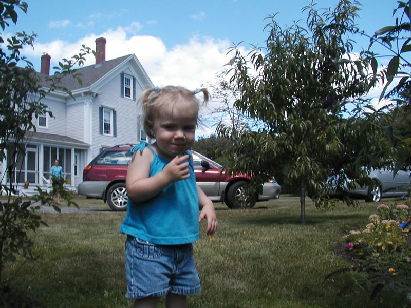 Picture 6260