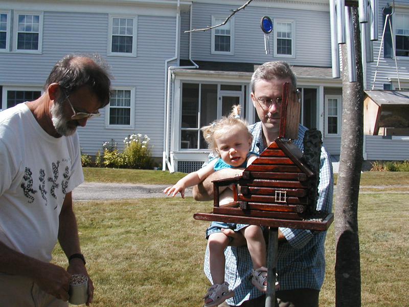 Picture 6264