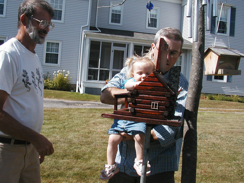Picture 6266