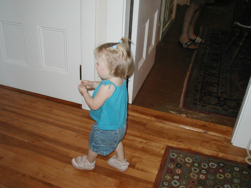 Picture 6272