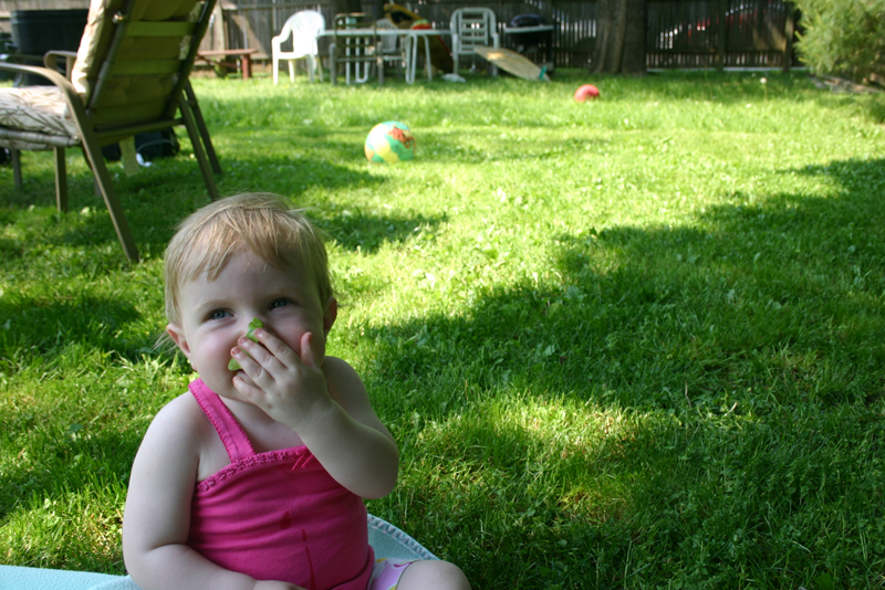 Picture 2869