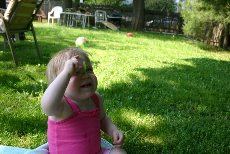 Picture 2878