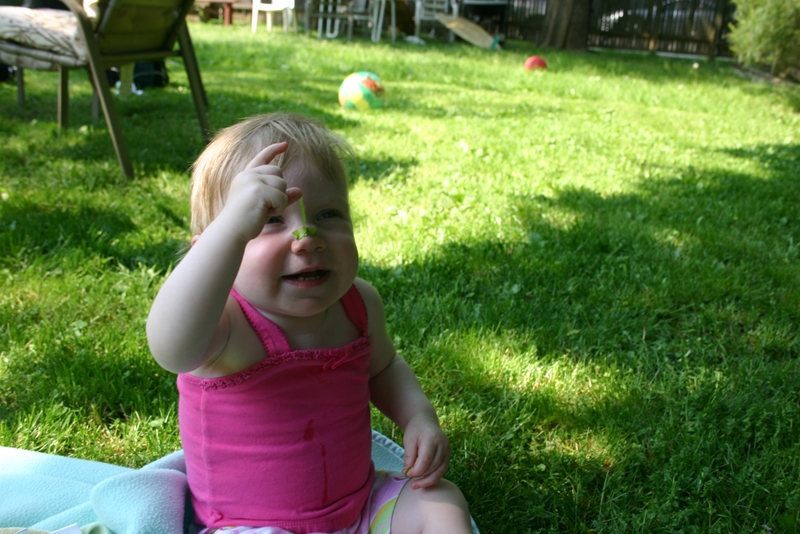 Picture 2880