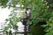 Picture 15437