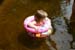 Picture 15471