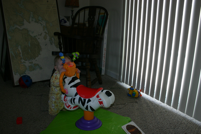 Picture 1146