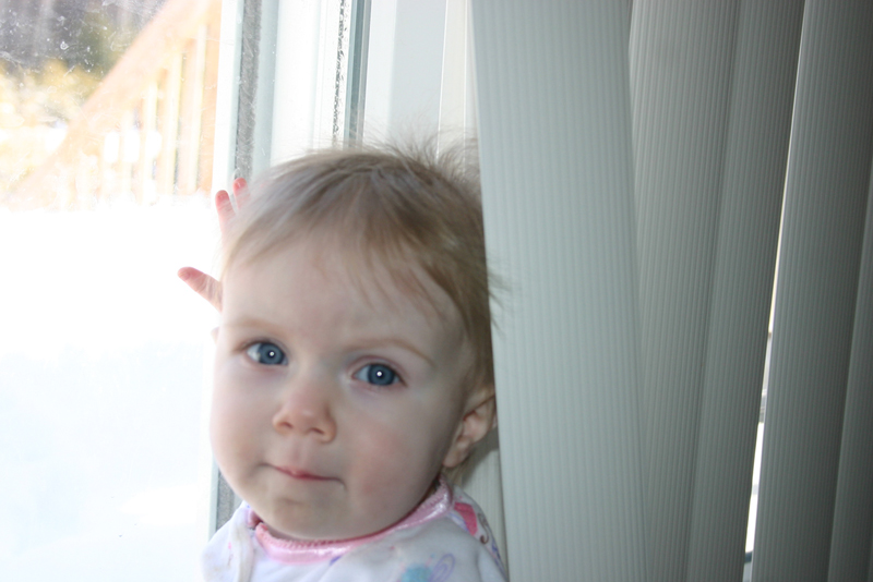 Picture 379