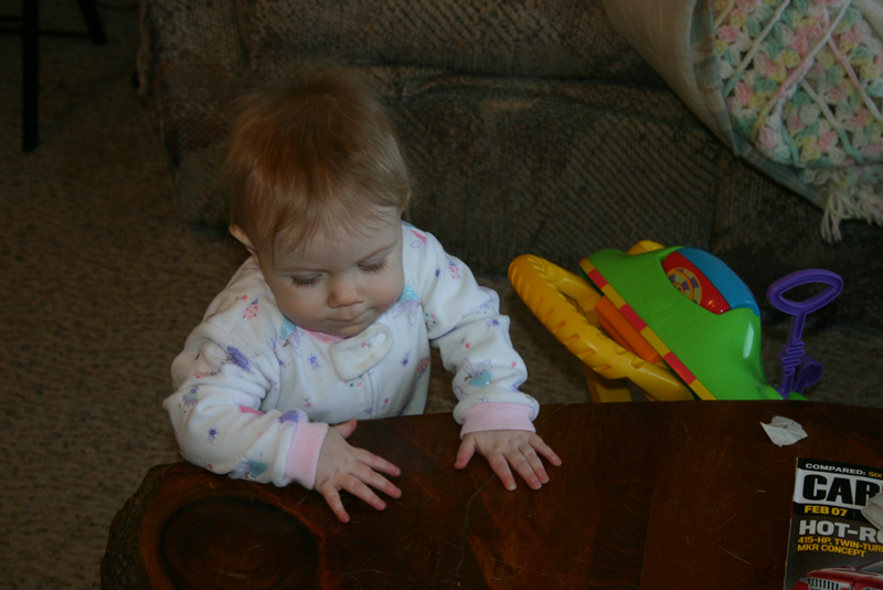 Picture 445