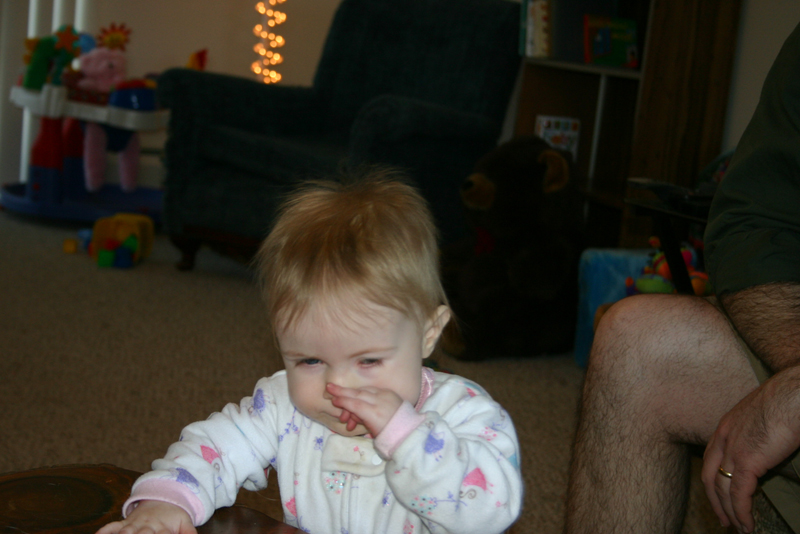 Picture 452