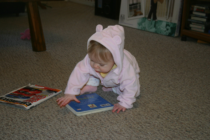 Picture 528