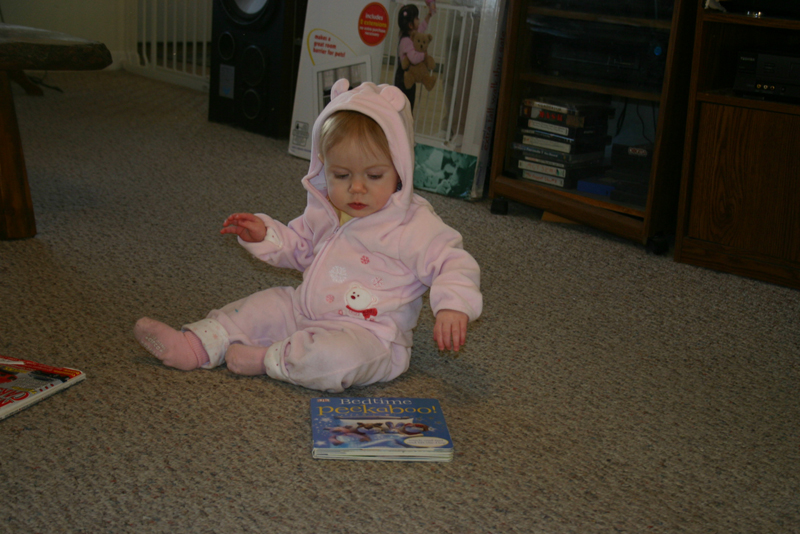 Picture 533