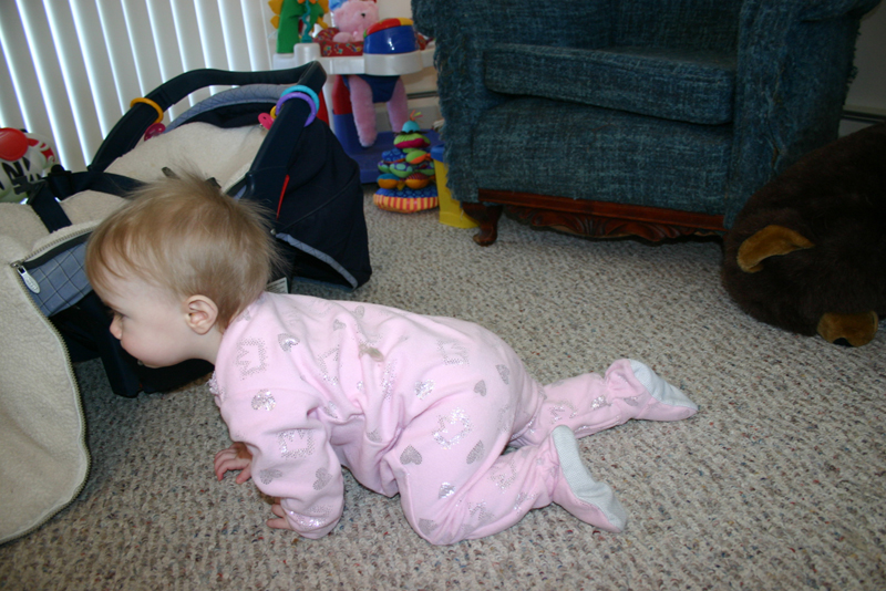 Picture 588