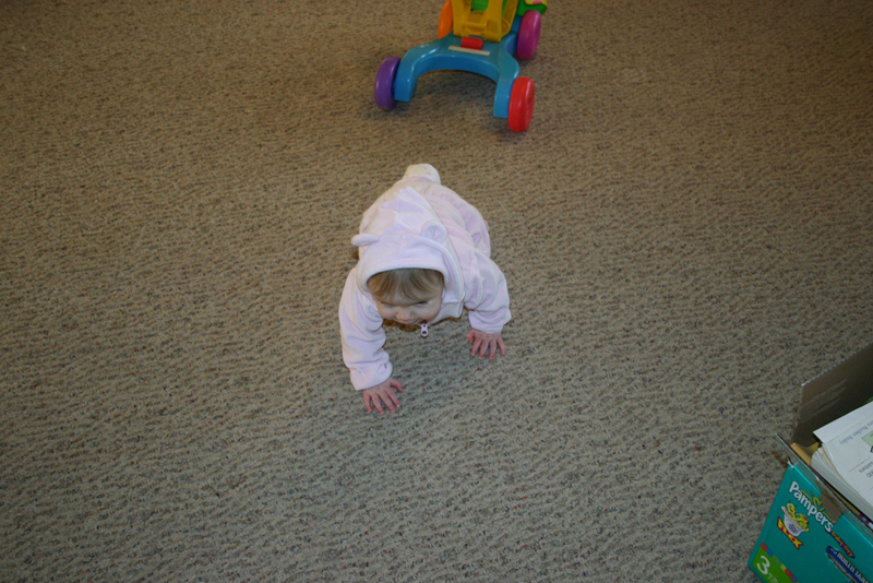 Picture 589