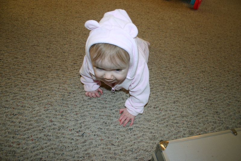 Picture 590