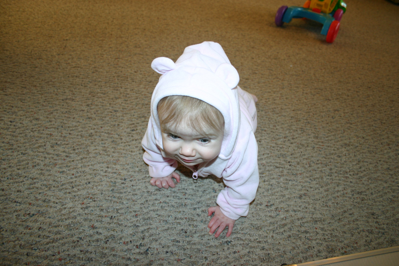 Picture 591