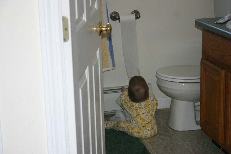 Picture 312
