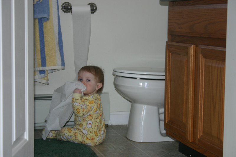 Picture 318
