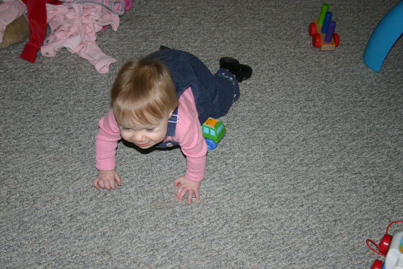 Picture 329