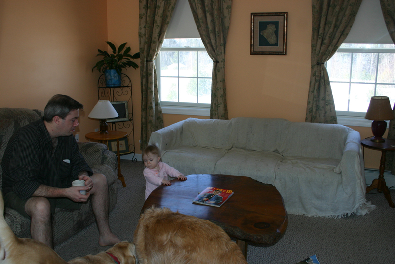Picture 528