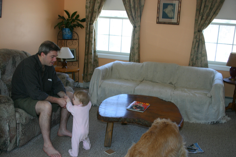 Picture 538