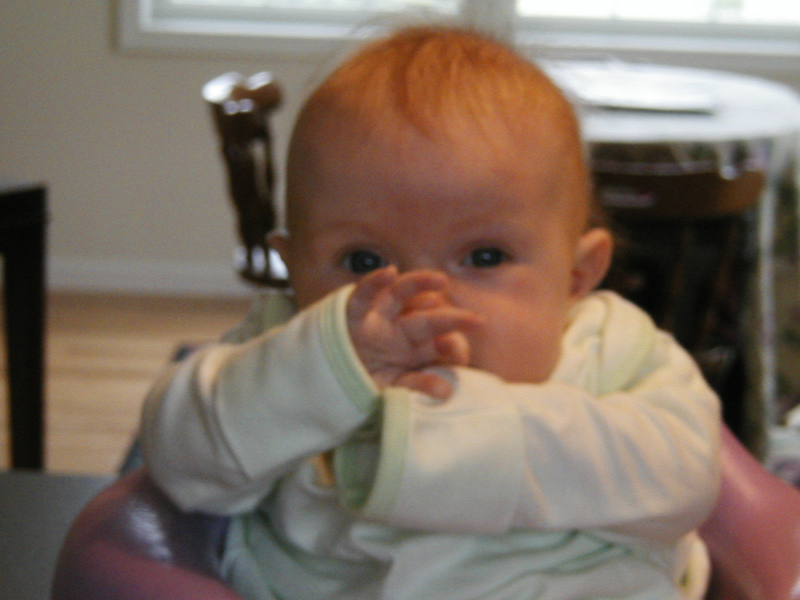 Picture 037