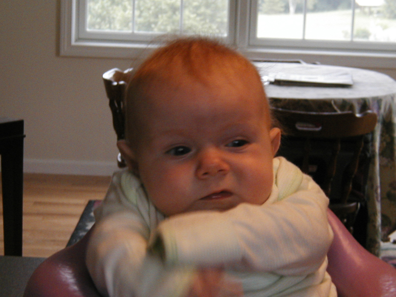 Picture 038