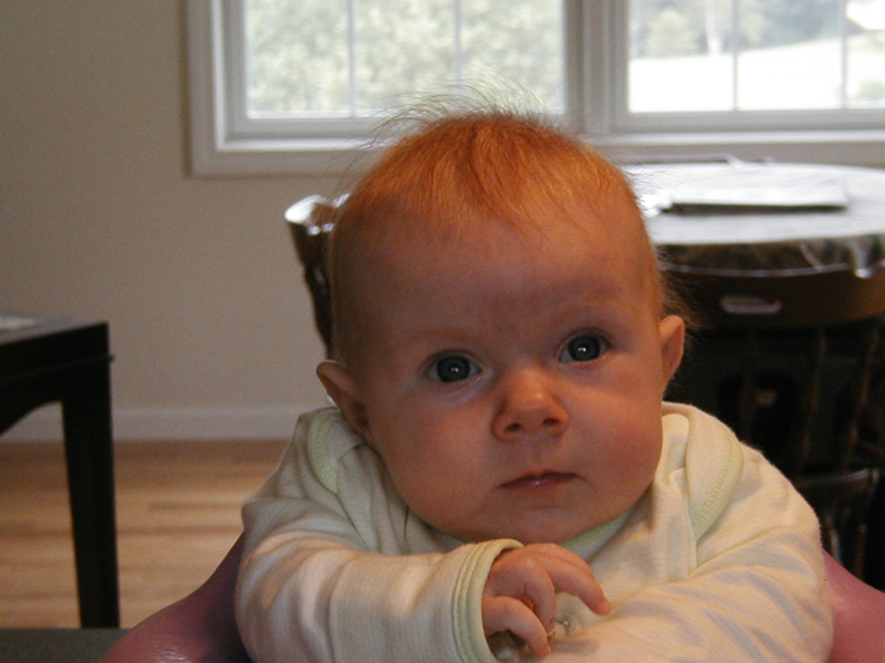 Picture 040
