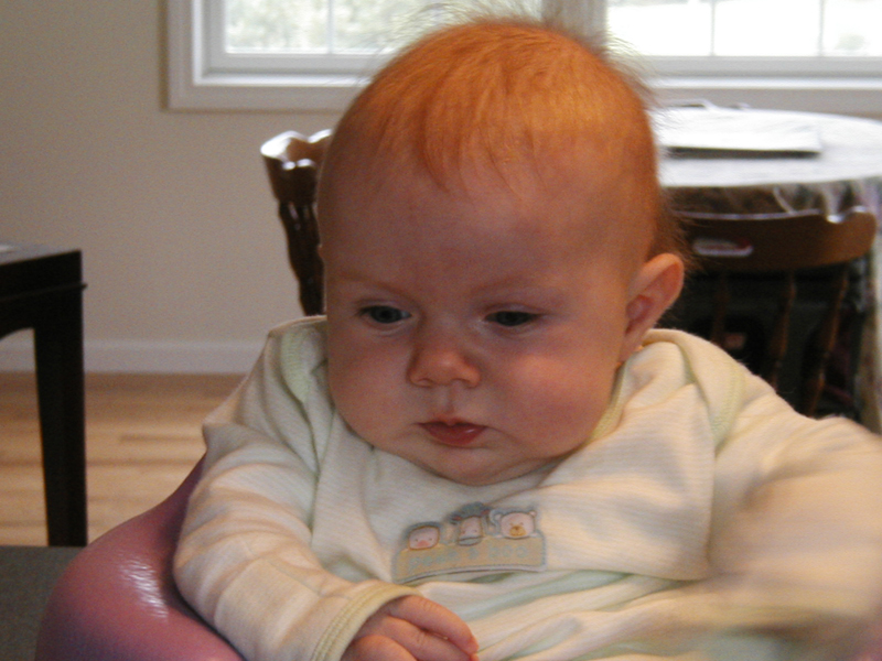 Picture 041