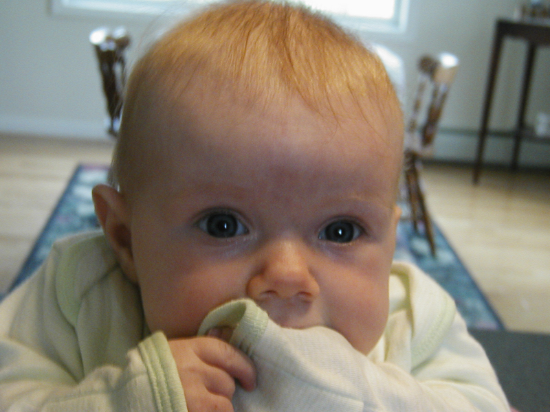 Picture 047