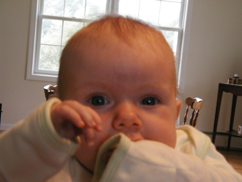 Picture 048