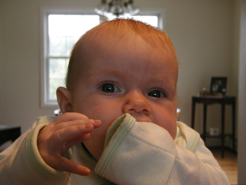 Picture 049