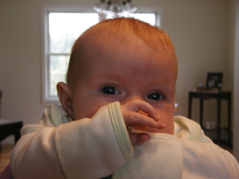 Picture 050