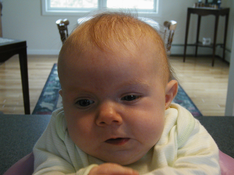 Picture 053