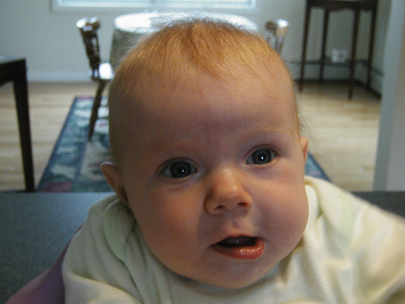Picture 056
