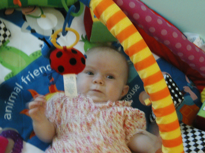 Picture 086