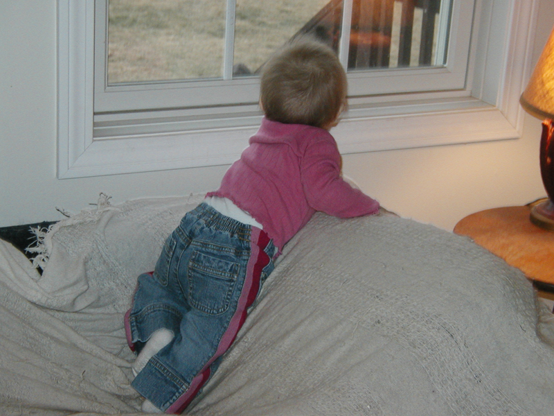 Picture 031