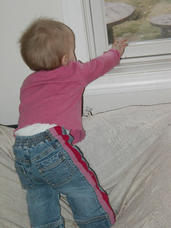 Picture 033