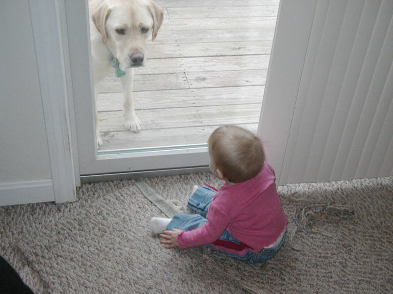 Picture 043