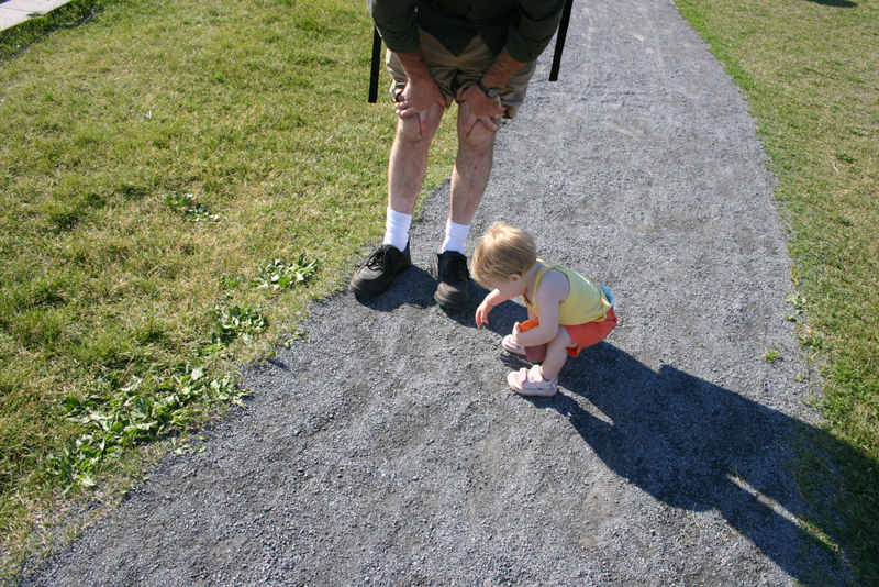 Picture 4874