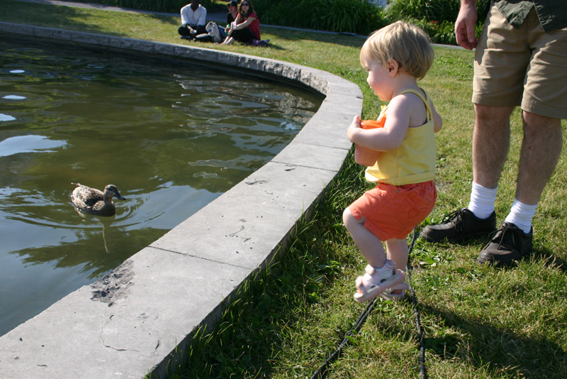 Picture 4878