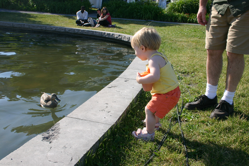 Picture 4879