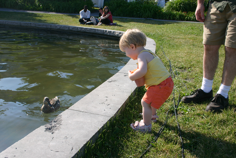 Picture 4881