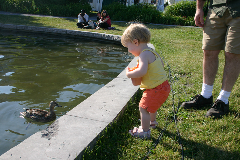 Picture 4882