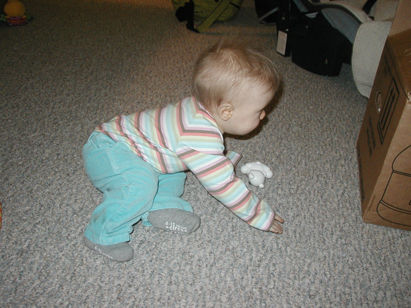 Picture 1386