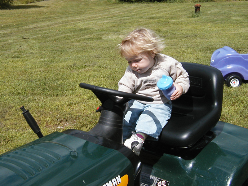 Picture 5591
